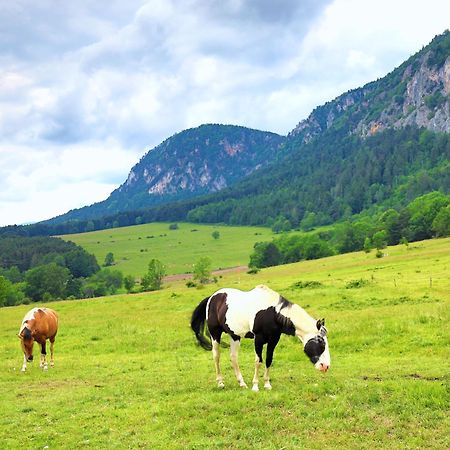 Glamping Hohe Wand - Zelt Mit Sternenfenster Und Whirlpool Maiersdorf Exterior foto